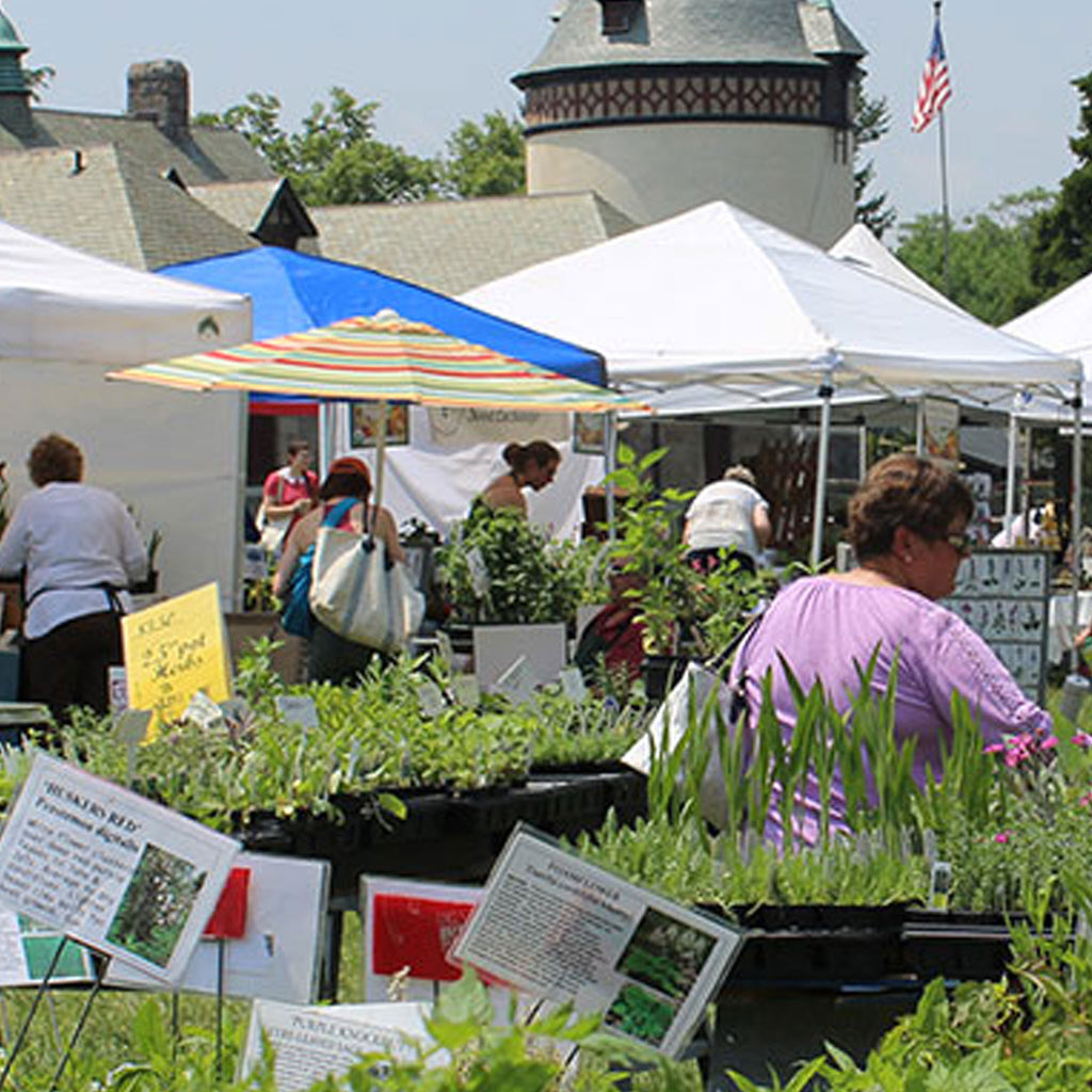 Herbs Galore & More
