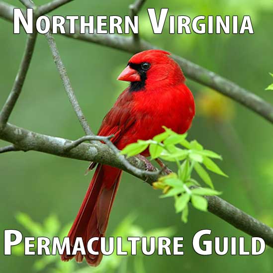 Northern Virginia Mushroom Cultivation Workshop