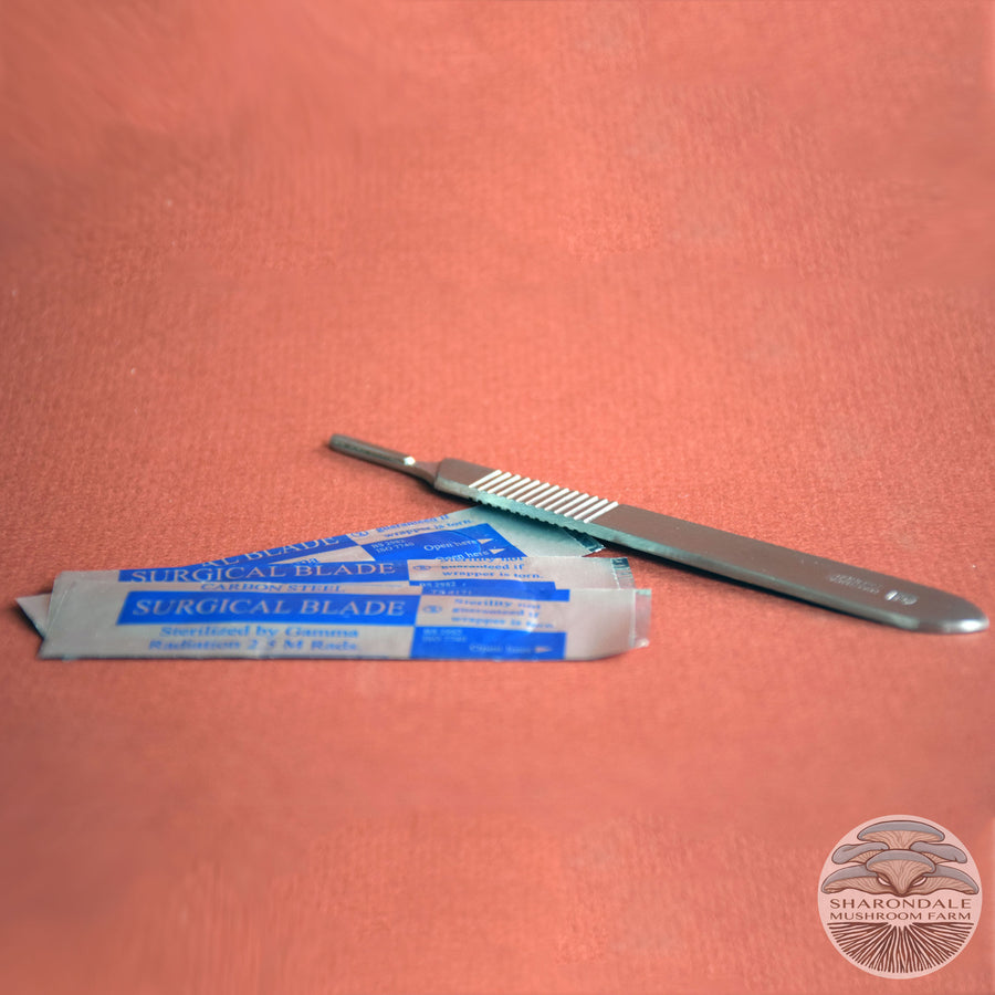 Scalpel and Blades