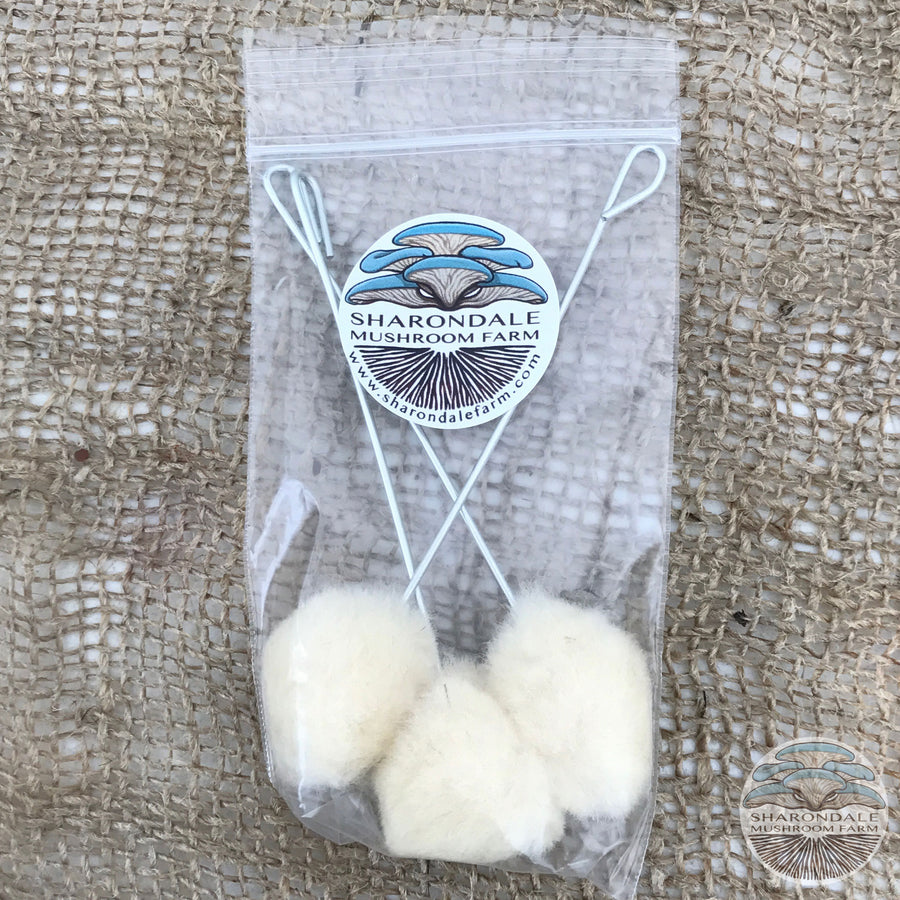 Wax Daubers 3 pack