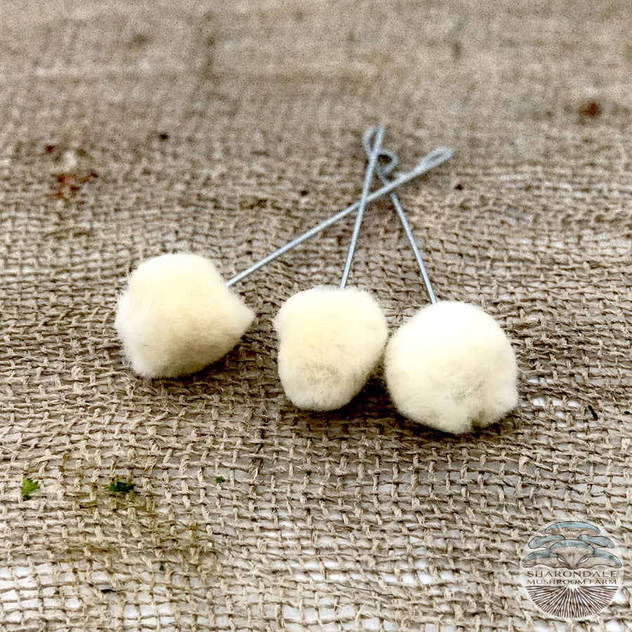 3 Wax Daubers