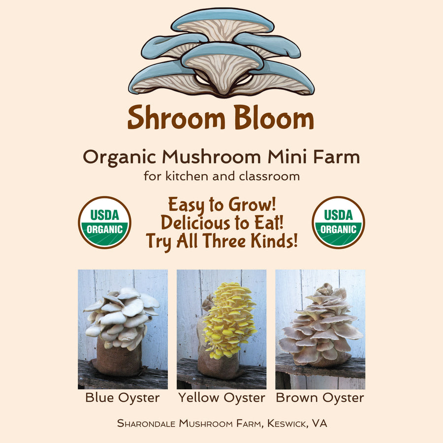Mushroom Grow Kit