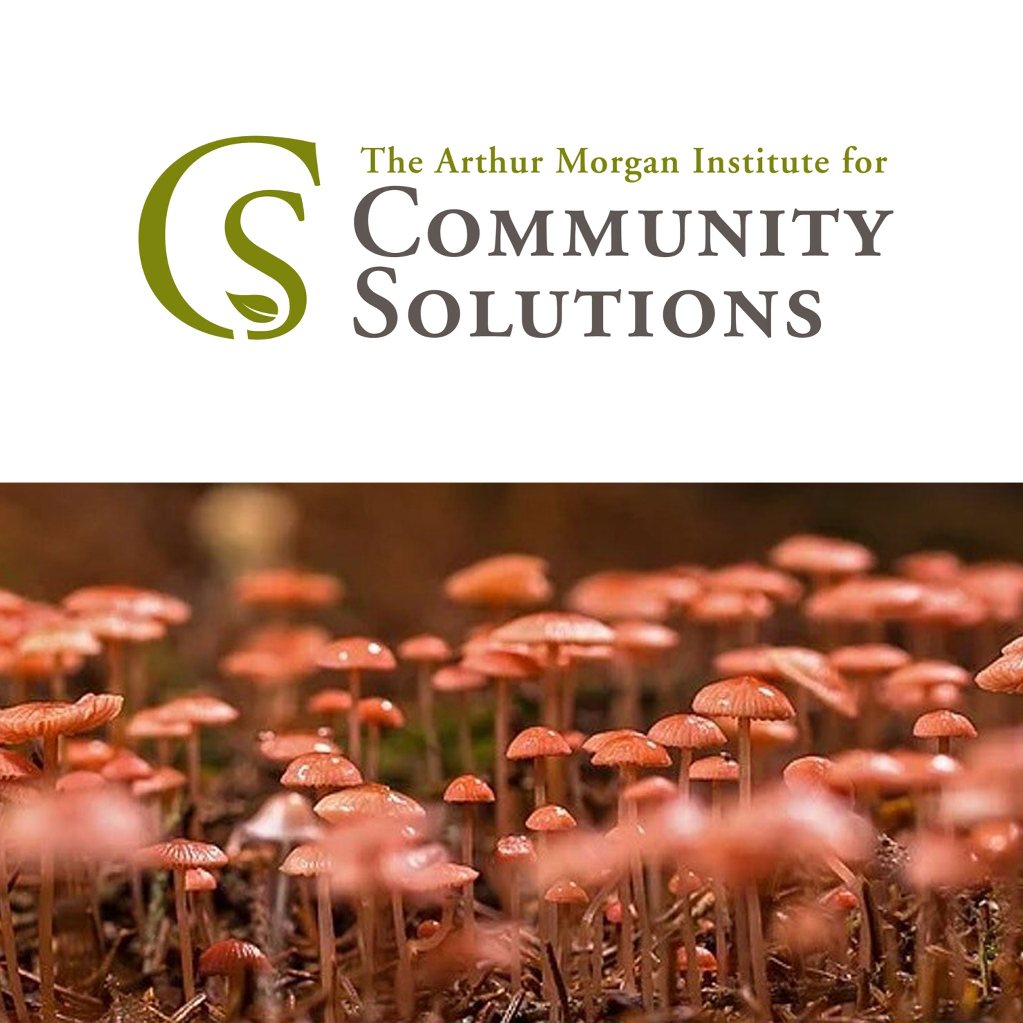 Mushroom Workshop at the Arthur Morgan Institute for Community Solutions