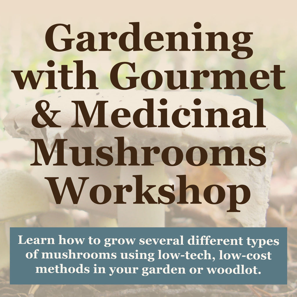 Gardening with Gourmet and Medicinal Mushrooms Workshop