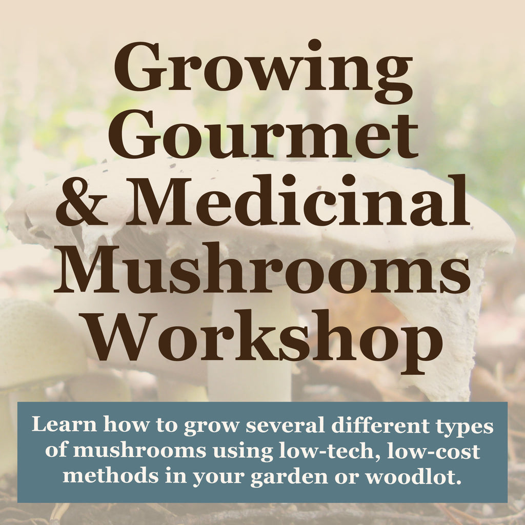 Growing Gourmet and Medicinal Mushrooms Workshop