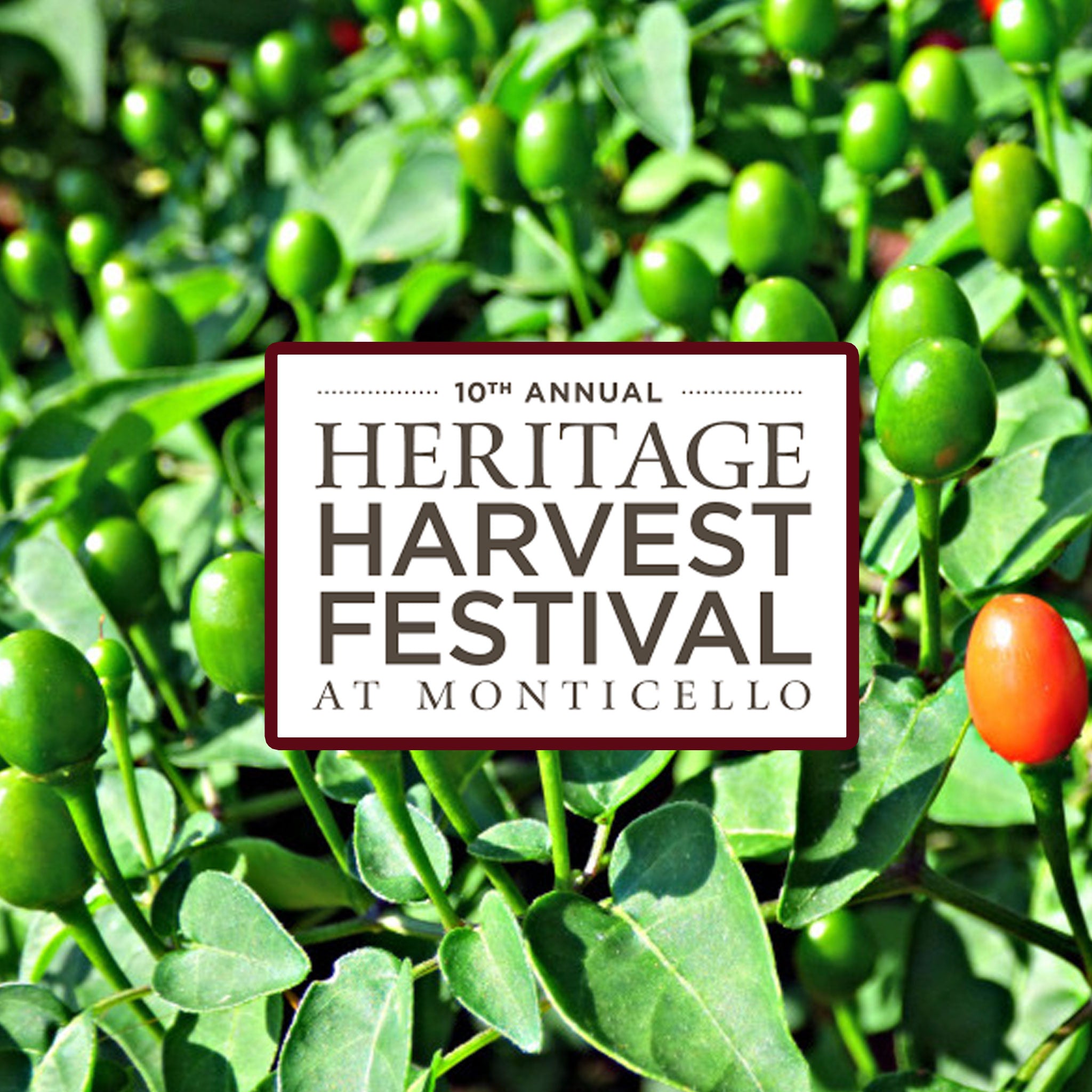 Heritage Harvest Festival 2016