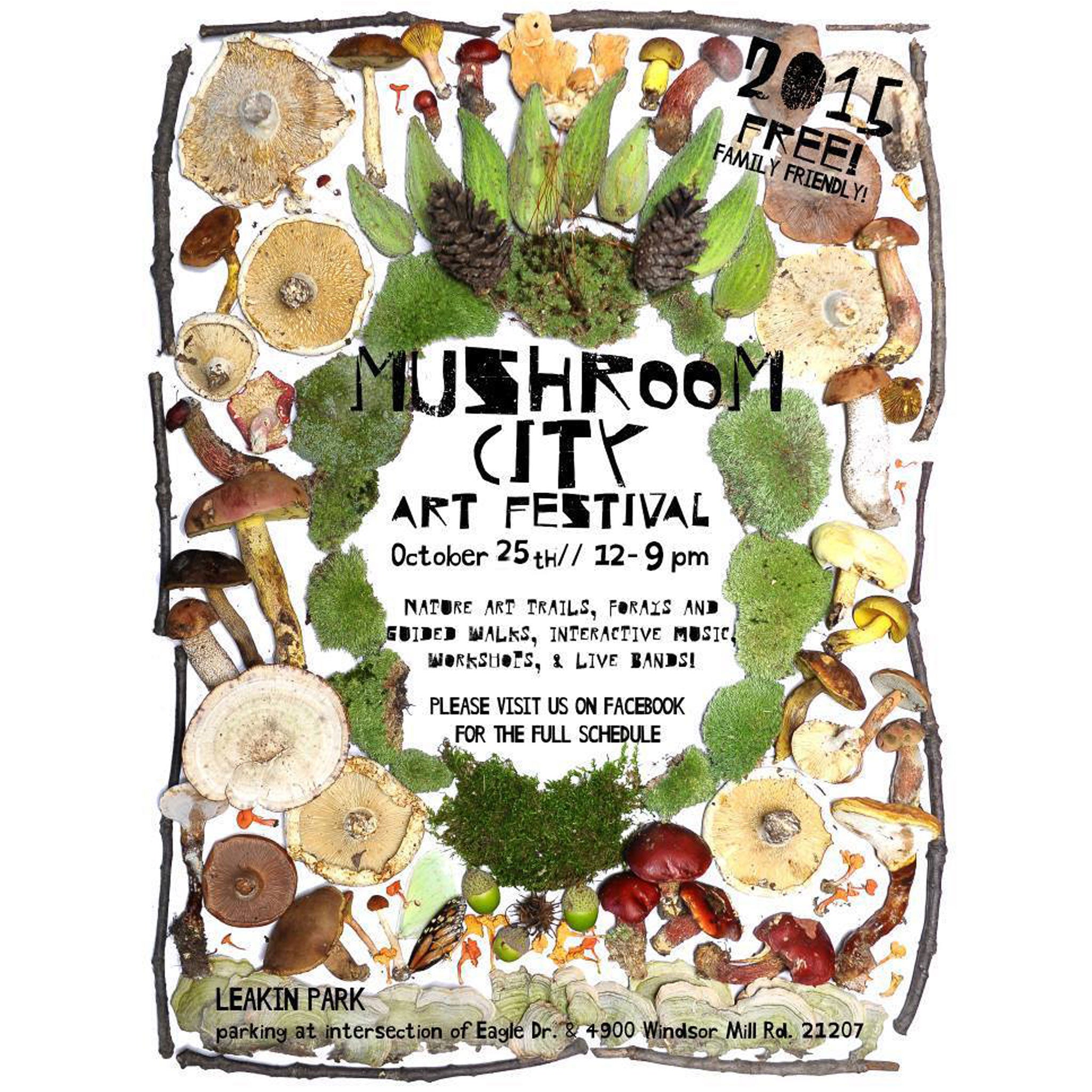 Mushroom City Art Festival 2015