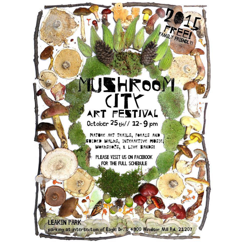 Mushroom City Art Festival 2015