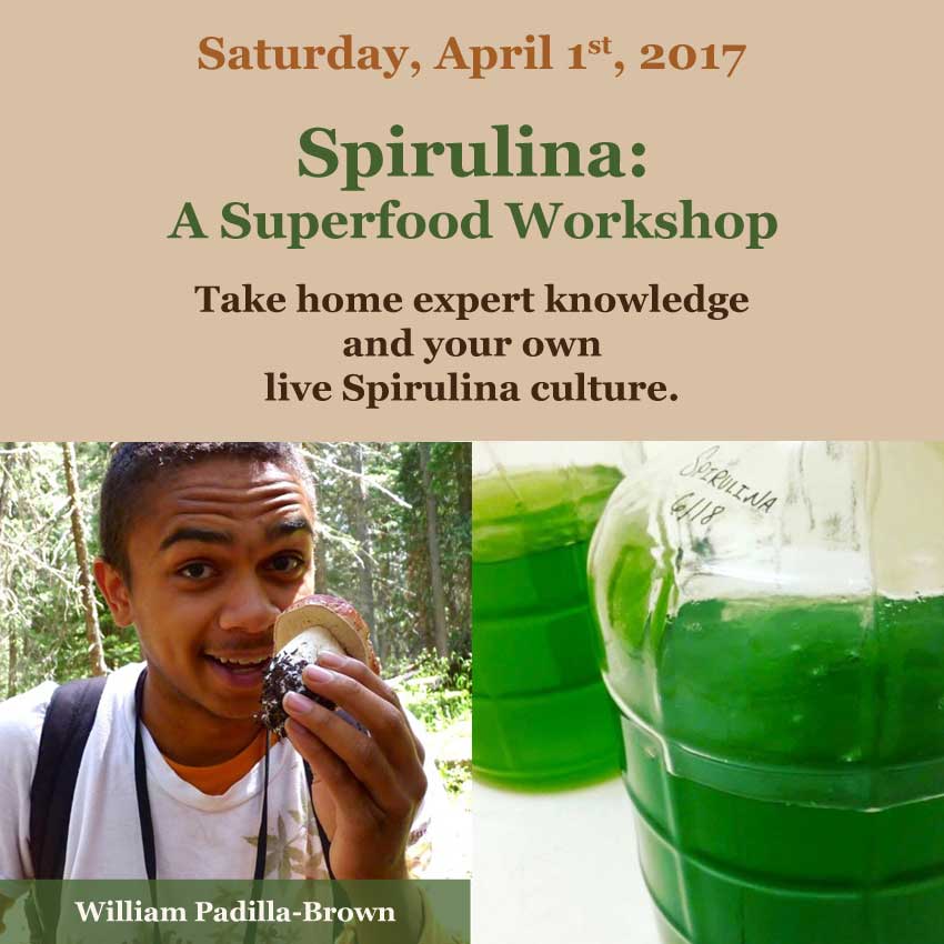 Spirulina: A Superfood Workshop