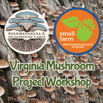 Virginia Mushroom Project - Growing Gourmet and Medicinal  Workshop