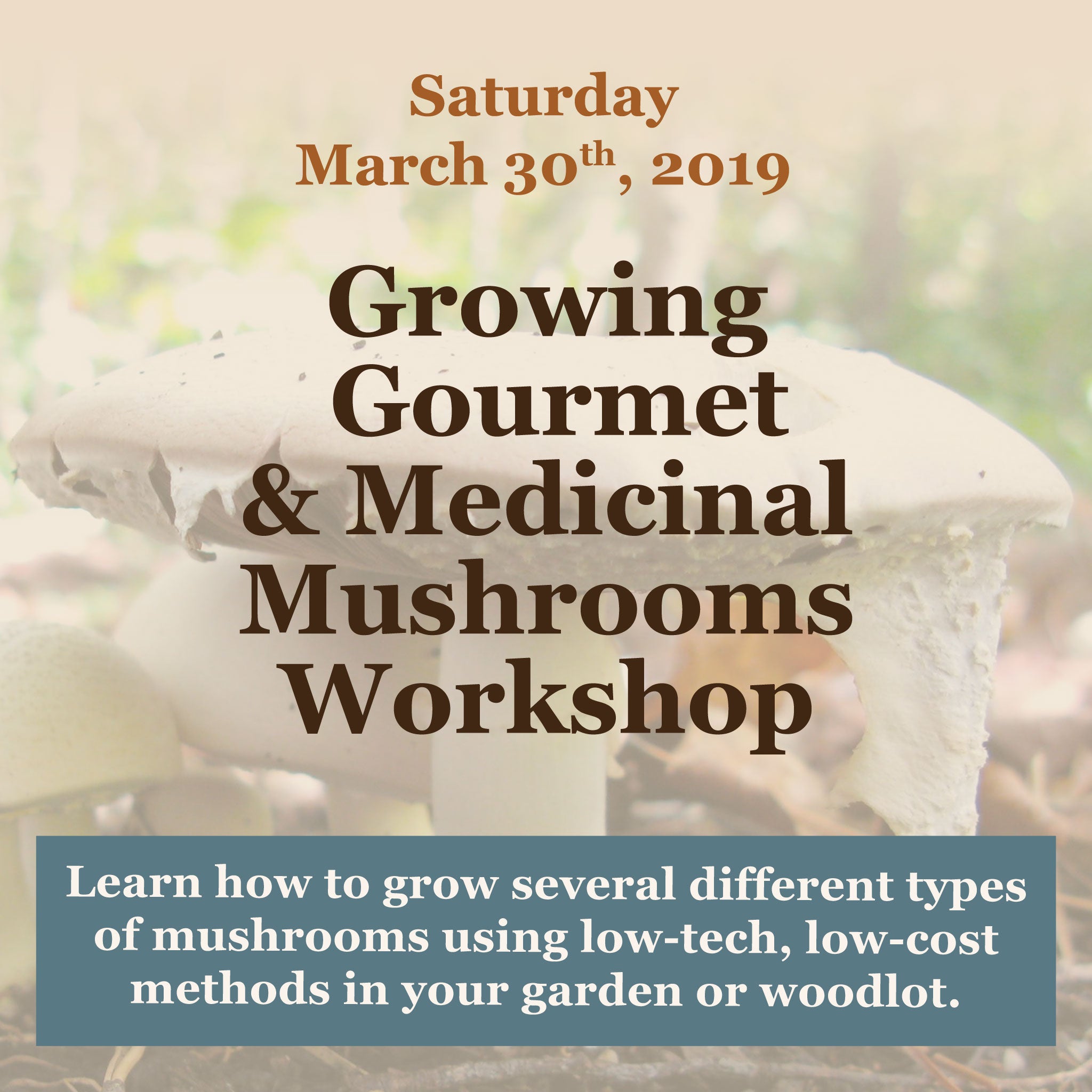 Growing Gourmet and Medicinal Mushrooms Workshop March 2019