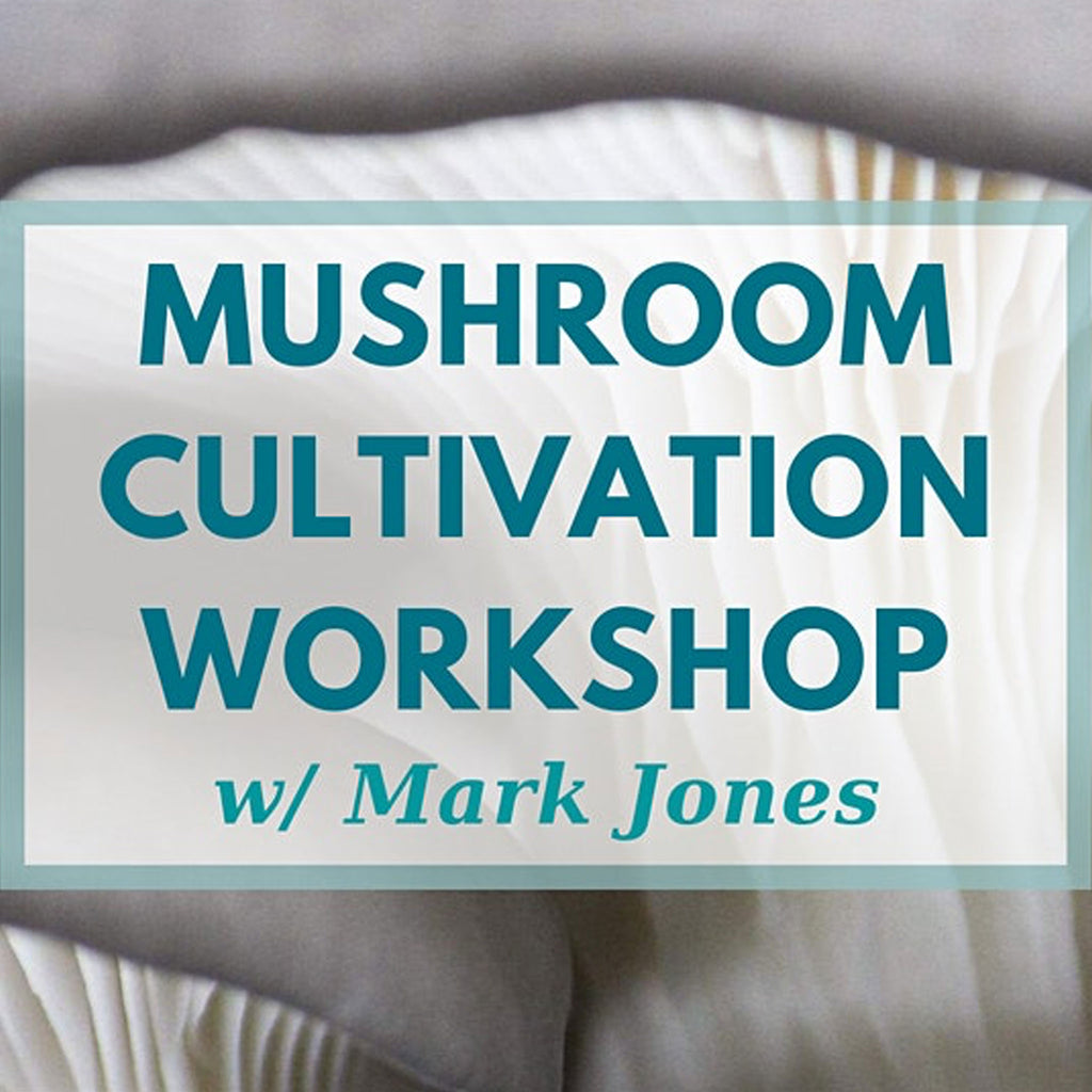 Cultivating Kingdom Fungi: Mushrooms for People and the Planet