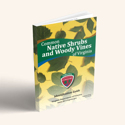 Common Native Shrubs and Woody Vines of Virginia Book