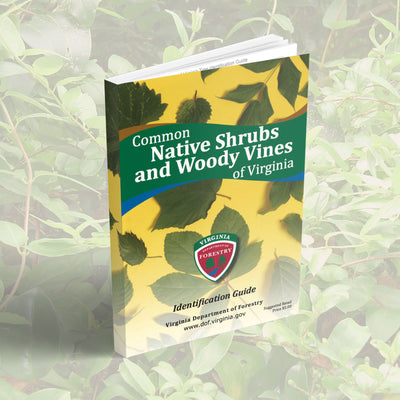 Common Native Shrubs and Woody Vines of Virginia field guide