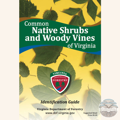 Common Native Shrubs and Woody Vines of Virginia front cover