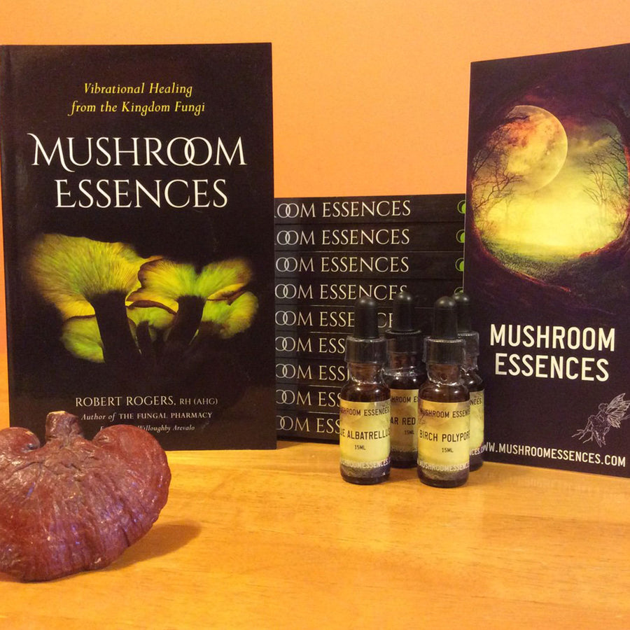 Mushroom Essences by Robert Rogers